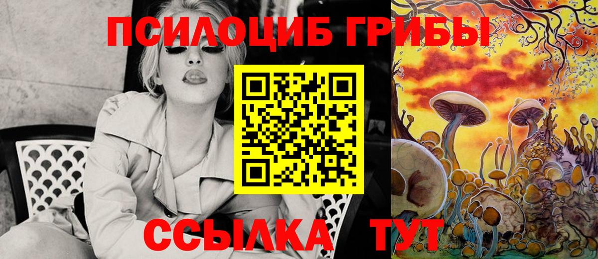 Псилоцибиновые грибы GOLDEN TEACHER Обь