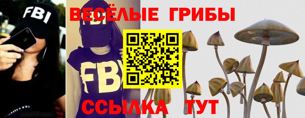 Обь  Галлюциногенные грибы MAGIC MUSHROOMS  Вход с VPN 